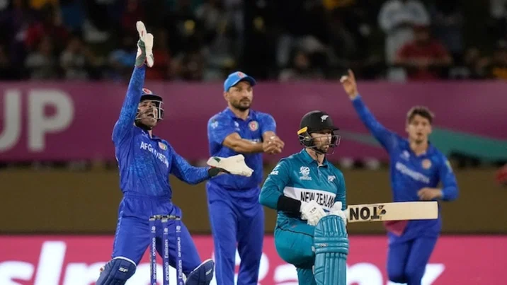 Afghanistan Cricket vs New Zealand