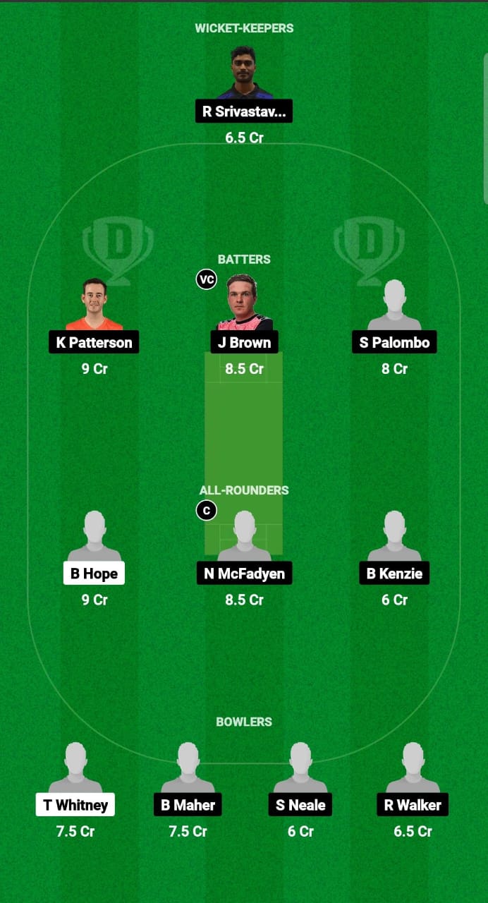 WSS vs NSB Dream11 Prediction Fantasy Cricket Tips Dream11 Team Australian T20 Max Men 2024 