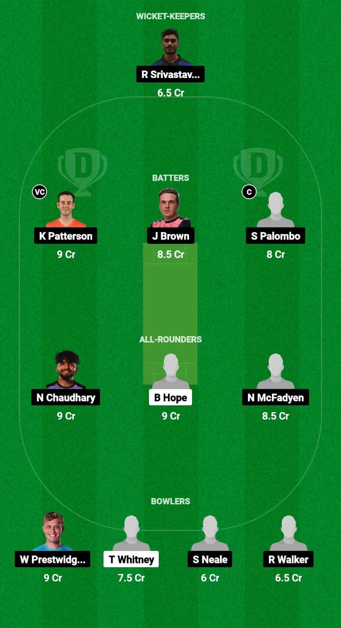 WSS vs NSB Dream11 Prediction Fantasy Cricket Tips Dream11 Team Australian T20 Max Men 2024 