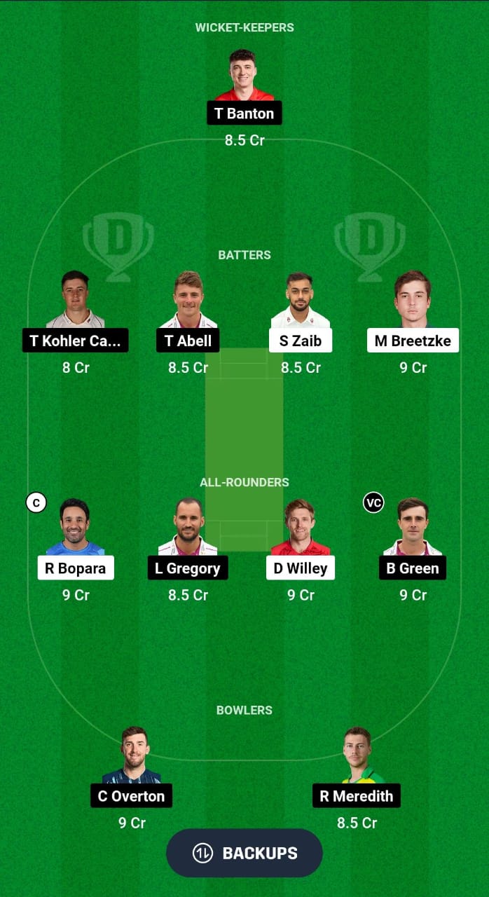 NOR vs SOM Dream11 Prediction Fantasy Cricket Tips Dream11 Team English T20 Blast 2024 