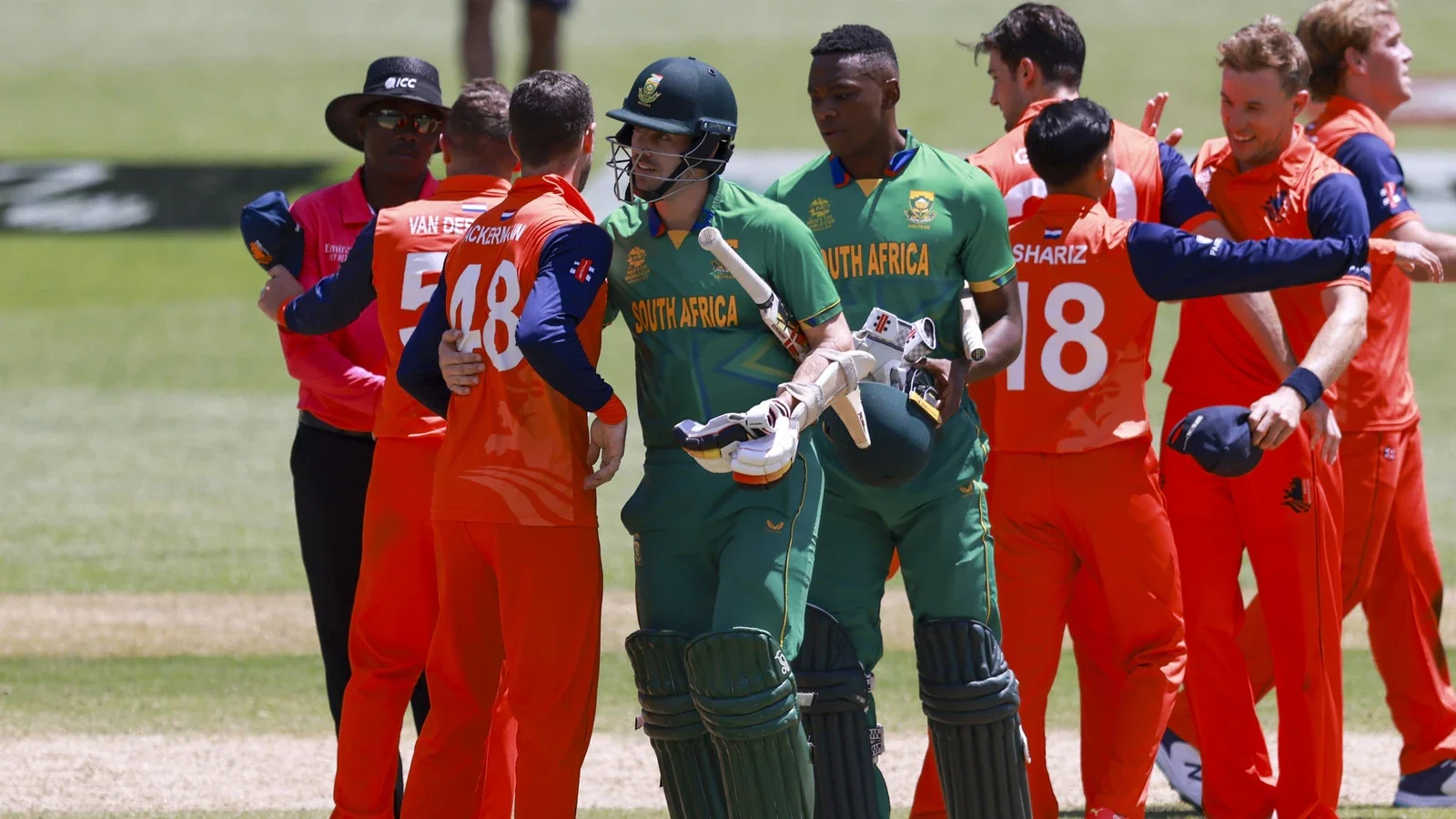 Netherlands, South Africa, Netherlands vs South Africa, ICC T20I World Cup 2024