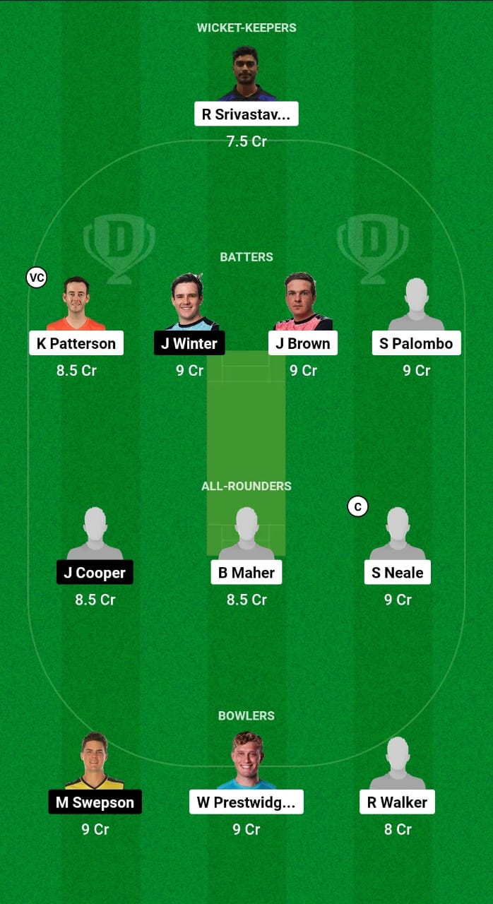 NSB vs SGR Dream11 Prediction Fantasy Cricket Tips Dream11 Team Australian T20 Max Men 