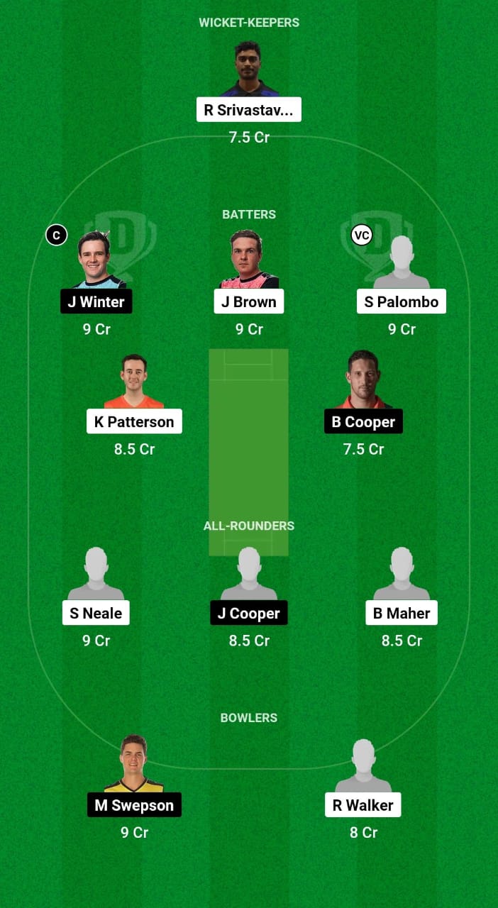 NSB vs SGR Dream11 Prediction Fantasy Cricket Tips Dream11 Team Australian T20 Max Men 