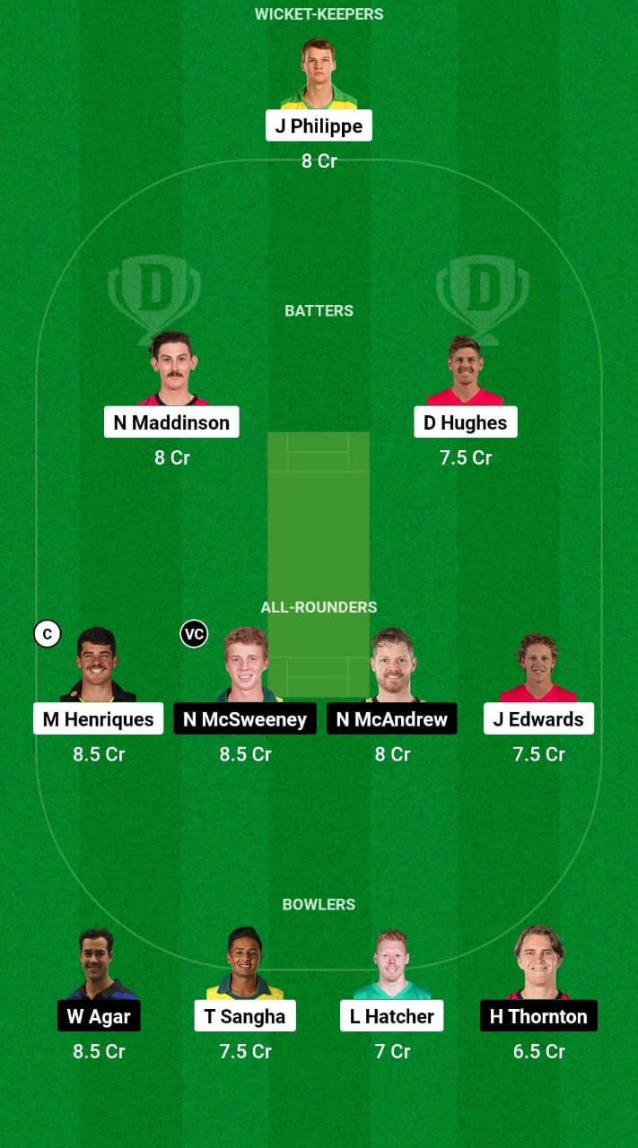 NSW vs SAU Dream11 Prediction Fantasy Cricket Tips Dream11 Team Australian Men's ODD 2024 