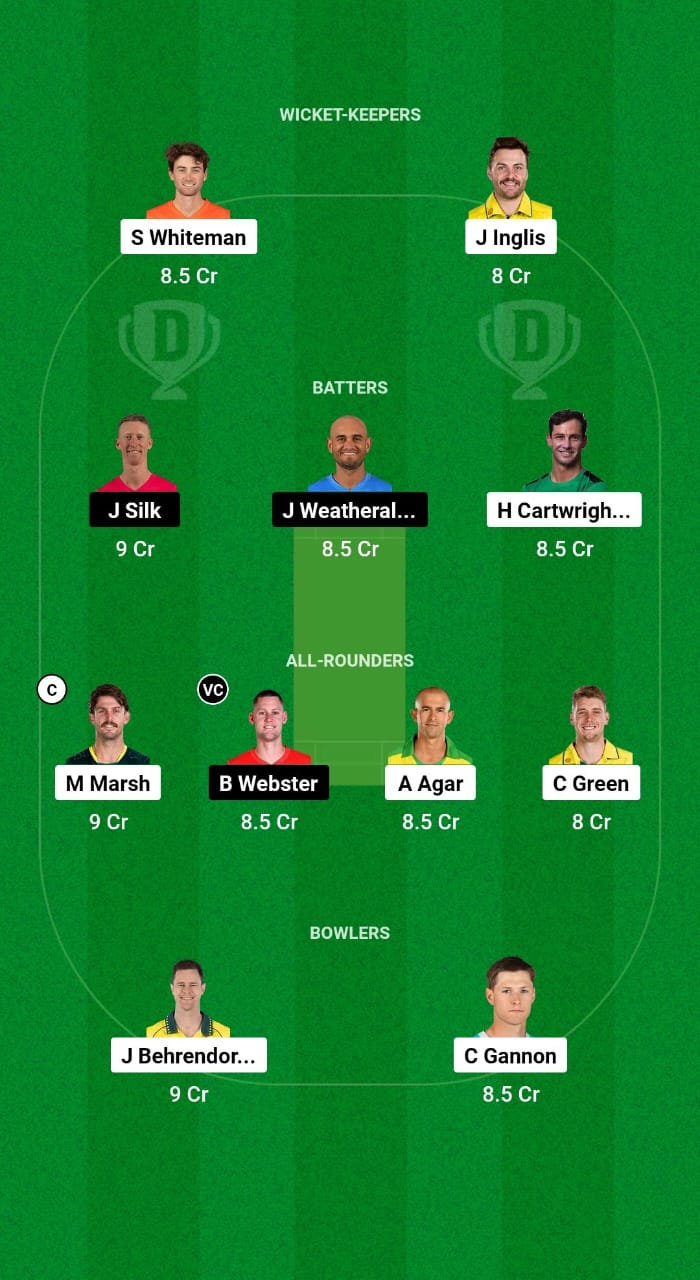 WAU vs TAS Dream11 Prediction Fantasy Cricket Tips Dream11 Team Australian Domestic Test 2024 