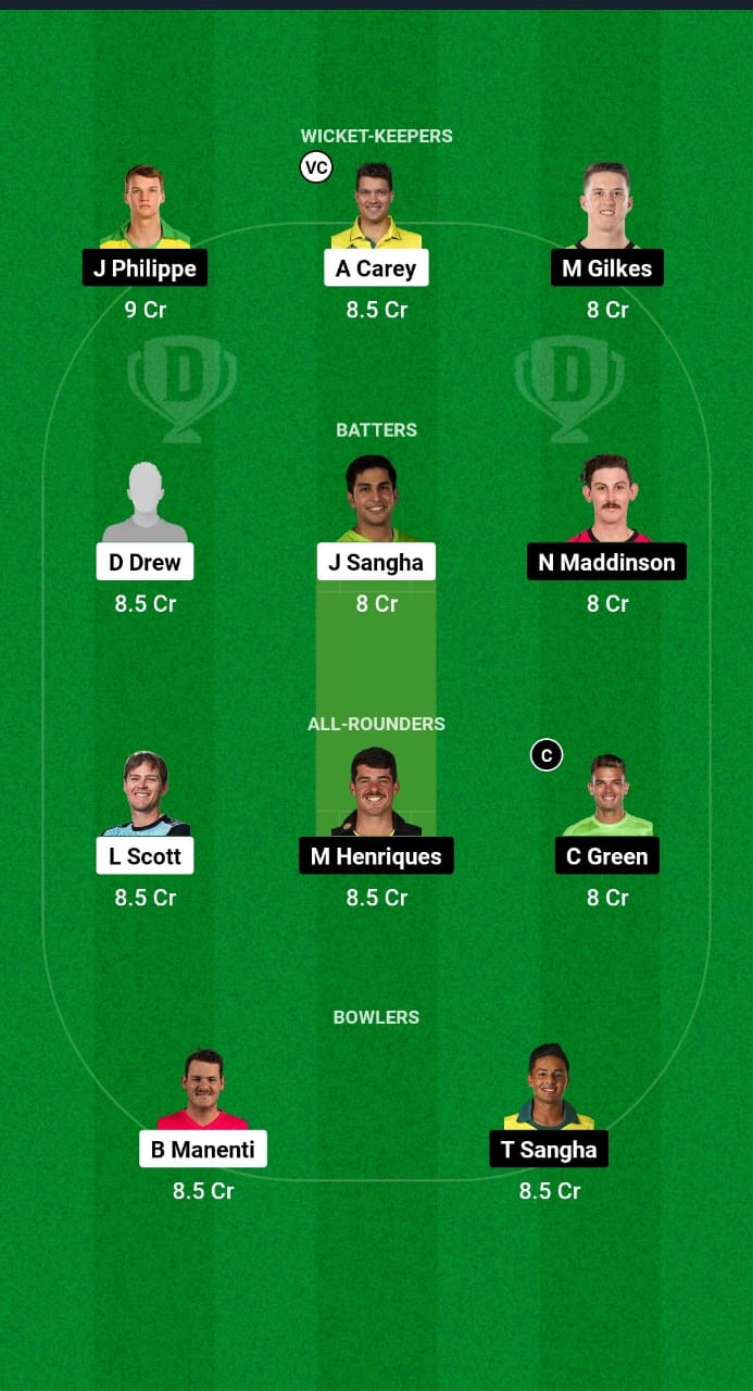 SAU vs NSW Dream11 Prediction Fantasy Cricket Tips Dream11 Team Australian Men's ODD 2024 