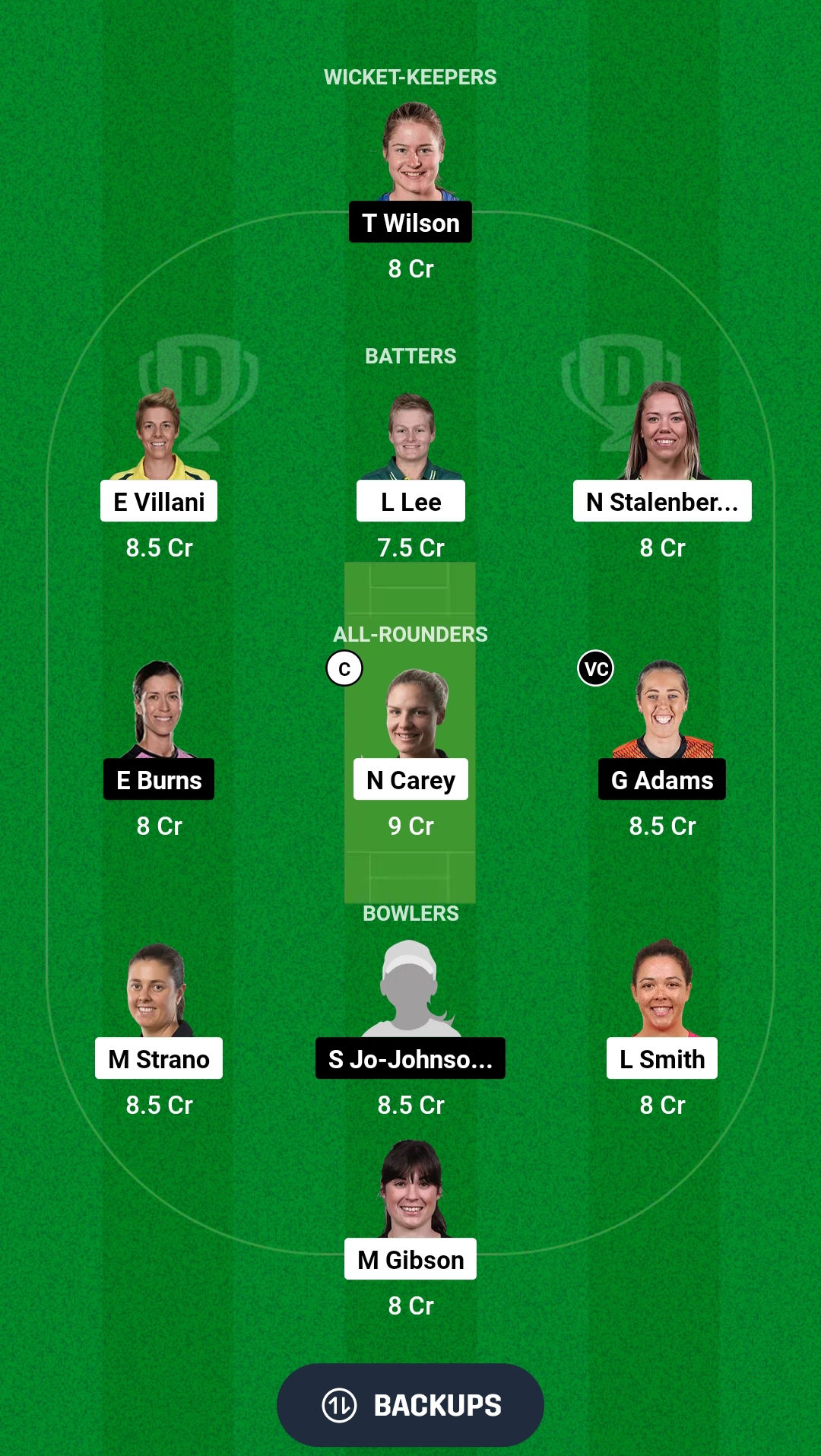 TAS-W vs NSW-W Dream11 Prediction Fantasy Cricket Tips Dream11 Team Australian Women's ODD 2024 