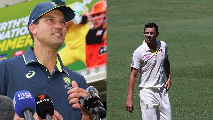 Alex Carey Josh Hazlewood For Australia