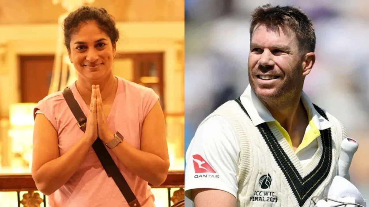 Lisa Sthalekar and David Warner