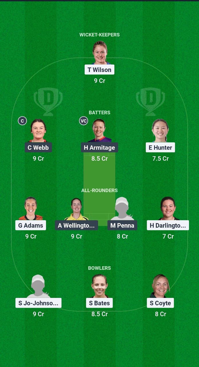 NSW-W vs SAU-W Dream11 Prediction Fantasy Cricket Tips Dream11 Team Australian Women’s ODD 2024-25 