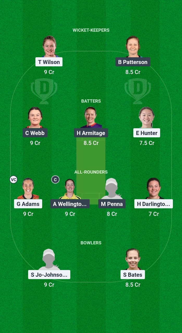 NSW-W vs SAU-W Dream11 Prediction Fantasy Cricket Tips Dream11 Team Australian Women’s ODD 2024-25 