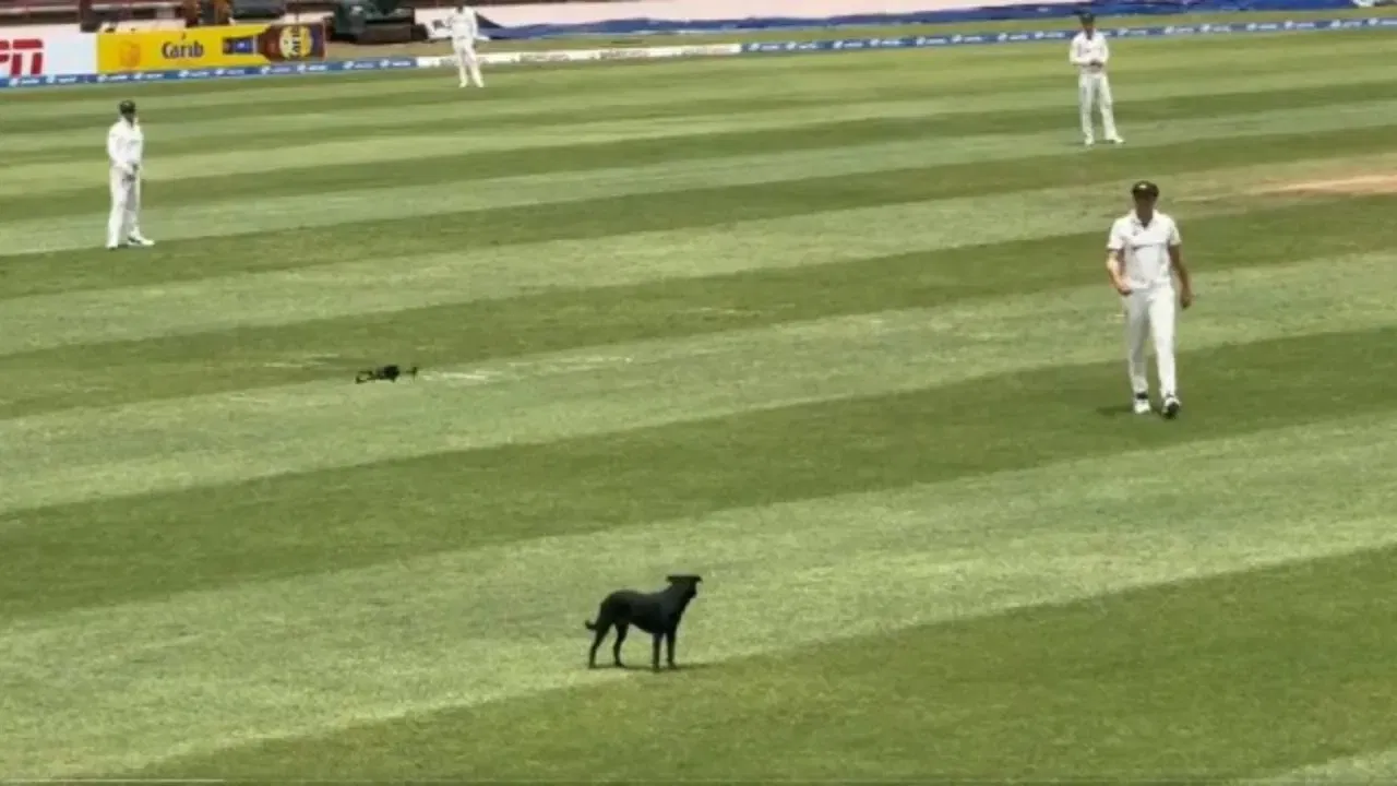 Australia Vs West Indies