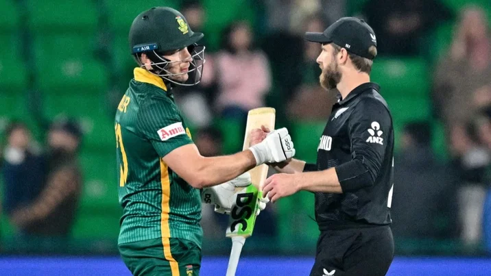 South Africa's David Miller and Kane Williamson