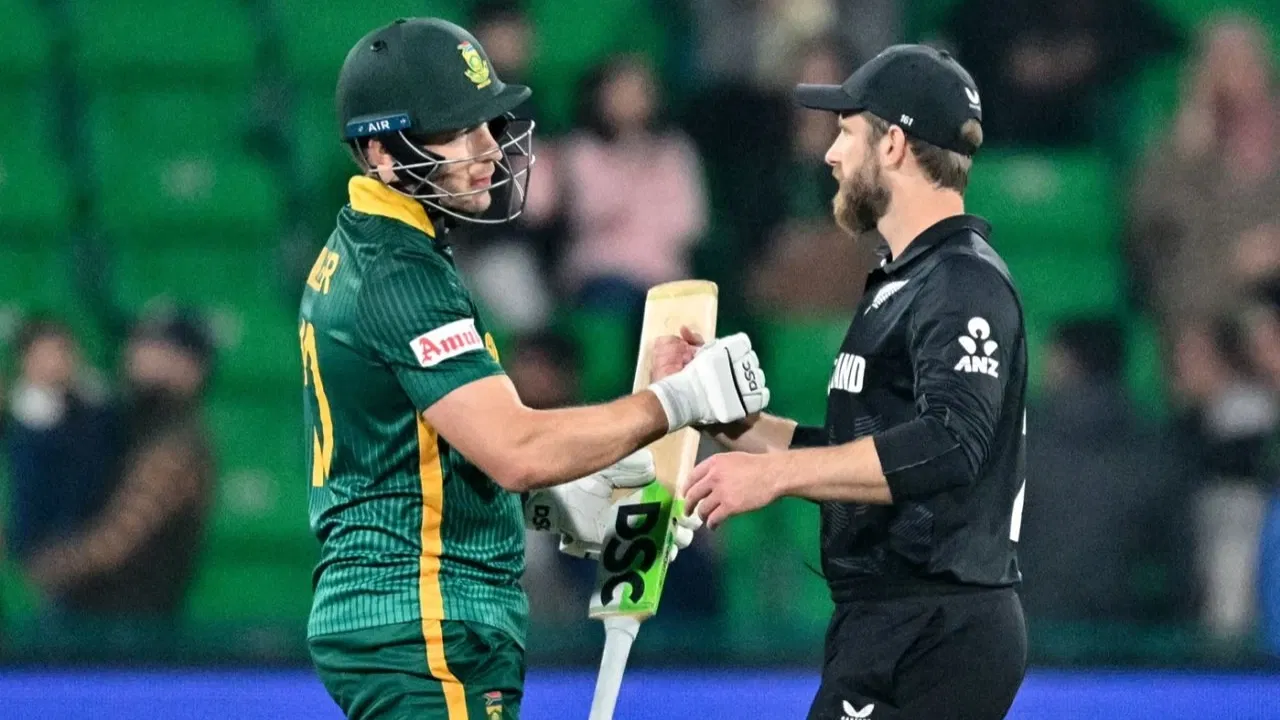 South Africa's David Miller and Kane Williamson