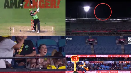 Hilton Cartwright 121 M Six