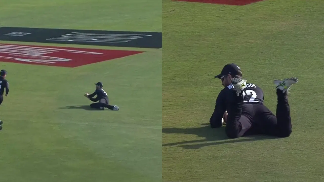 Kane Williamson Catch Towhid Hridoy Wicket