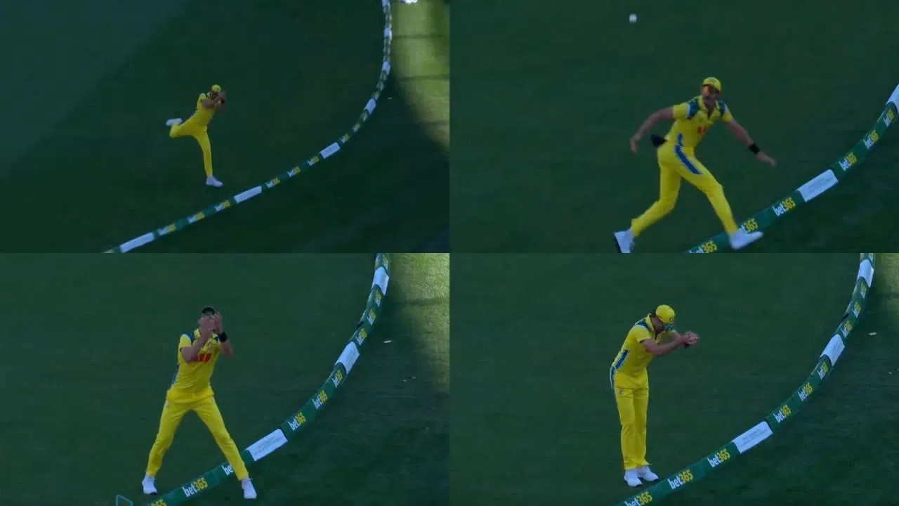 Mitchell Starc Catch