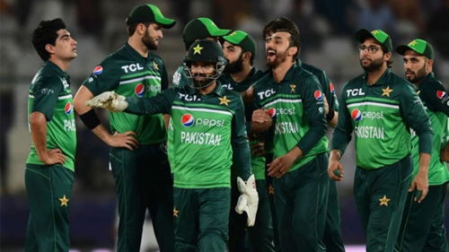 Pakistan National Cricket Team 1