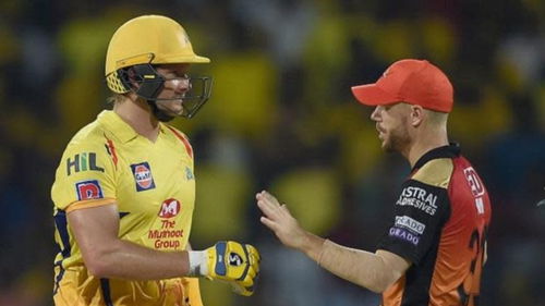 Shane Watson David Warner IPL