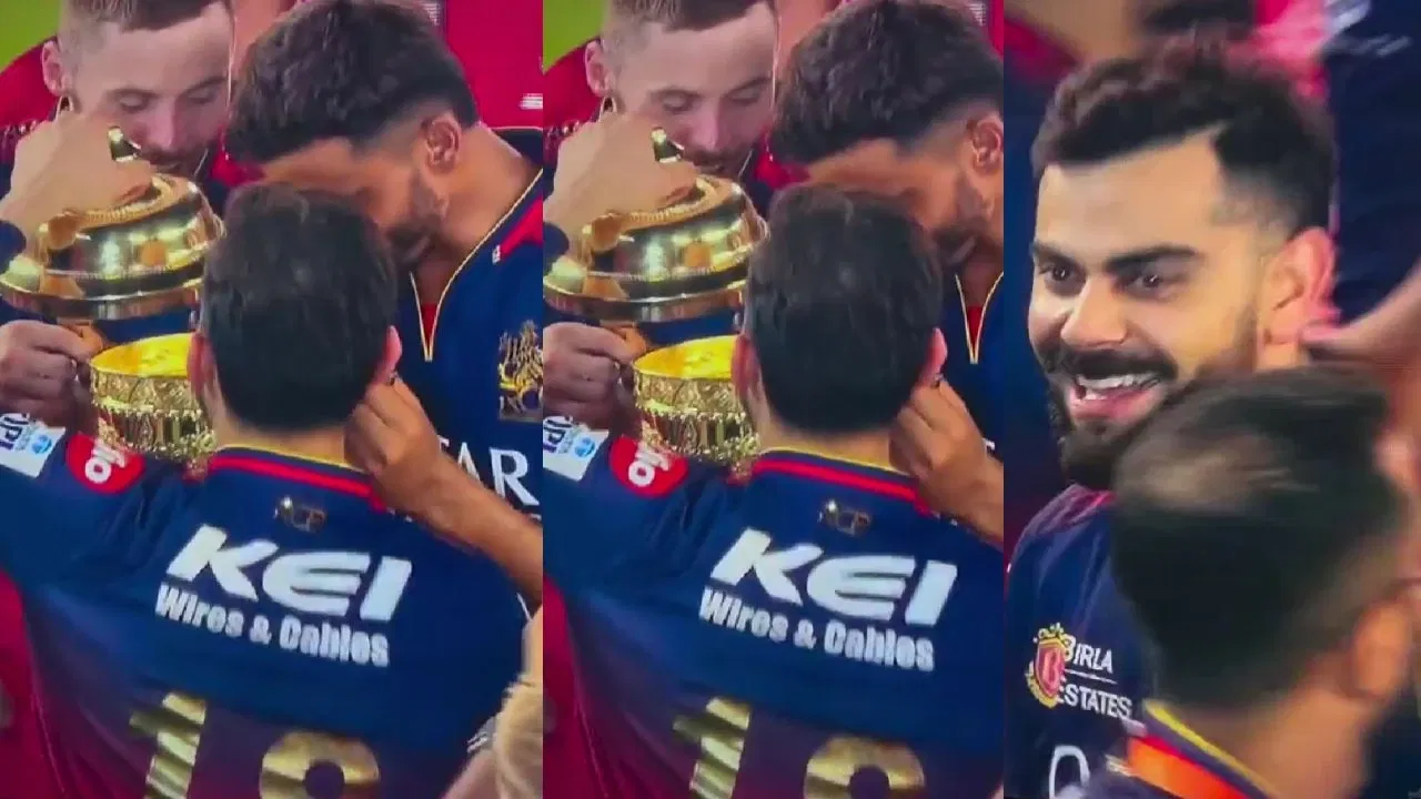 Watch Virat Kohli Checks Inside The IPL Trophy After RCB S Historic Win Video Goes Viral On Social Media