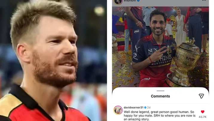 David Warner SRH