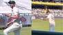 Mitchell Starc and Josh Hazlewood loses his cool