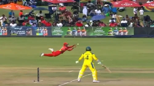 Alex Carey falls for 34 as Wesley Madhevere takes stunning flying catch