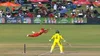 Alex Carey falls for 34 as Wesley Madhevere takes stunning flying catch