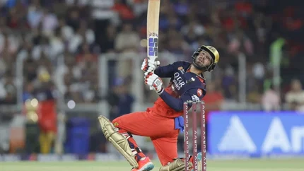 Jitesh Sharma RCB