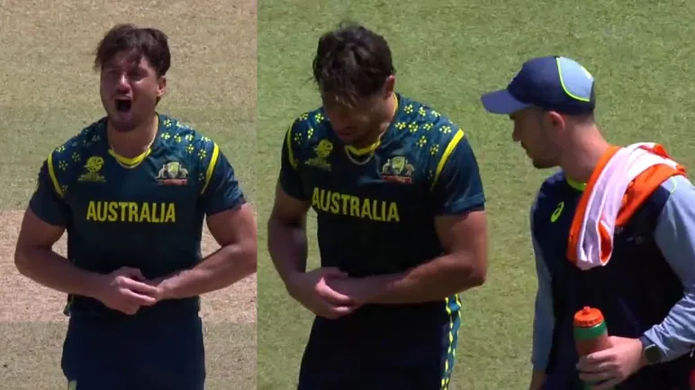 Marcus Stoinis Injured