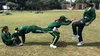 Pakistan U19 women’s training video