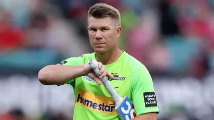 David Warner likely to be sacked as Sydney Thunder captain after drink-driving charge