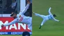 Dhananjaya De Silva takes a one-handed blinder