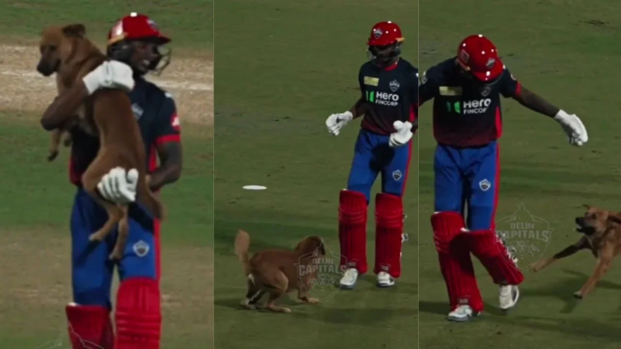 Unreal scenes! Abishek Porel lifts dog after pitch invasion during Delhi Capitals&rsquo; practice and does this
