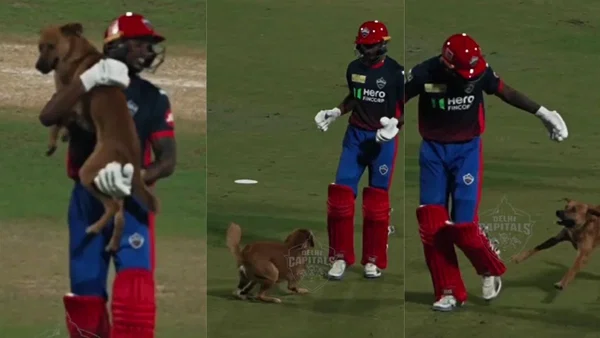Unreal scenes! Abishek Porel lifts dog after pitch invasion during Delhi Capitals’ practice and does this