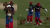 Unreal scenes! Abishek Porel lifts dog after pitch invasion during Delhi Capitals’ practice and does this