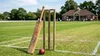 Cricket