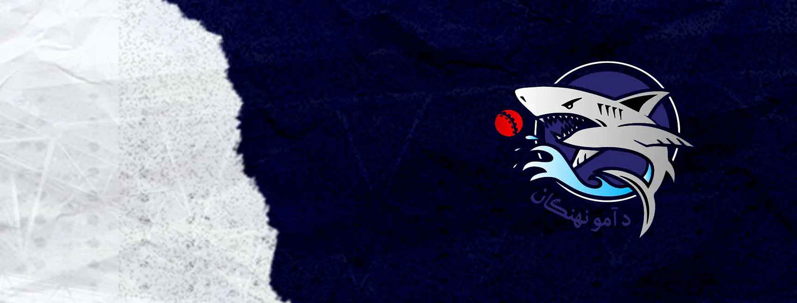 Amo Sharks Cricket Team