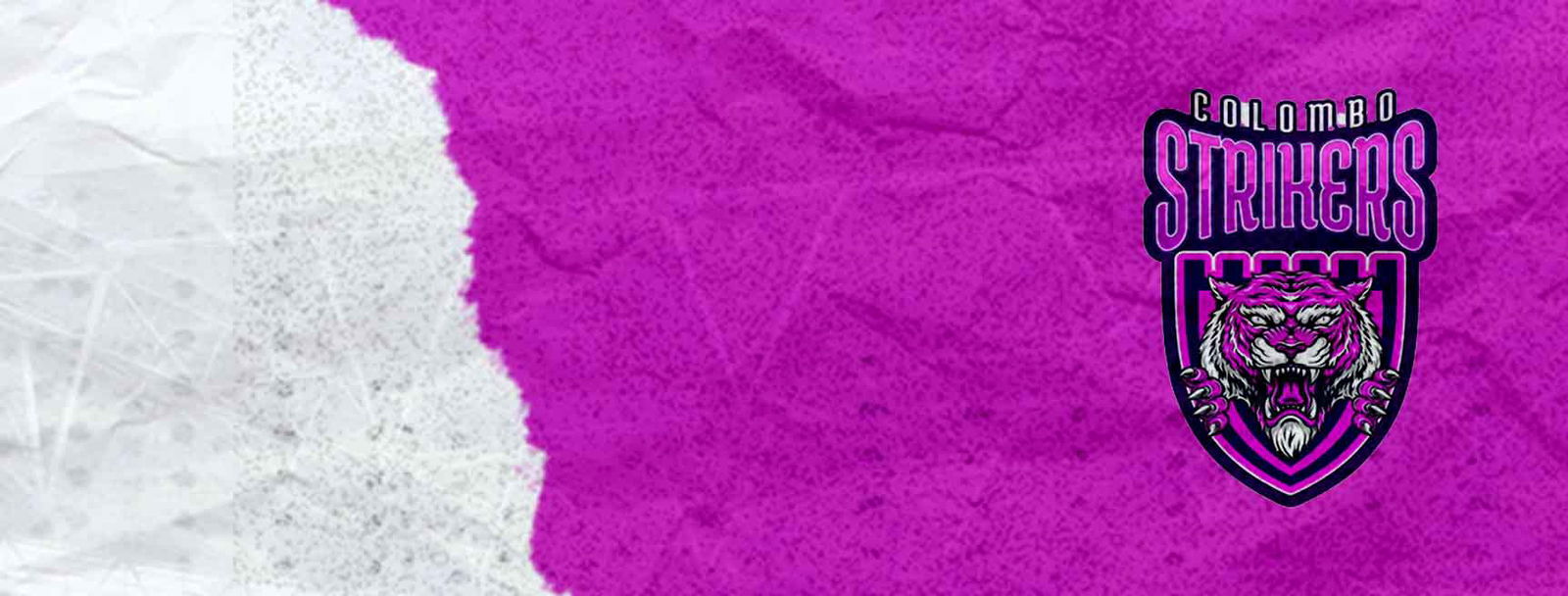 Colombo Strikers Cricket Team