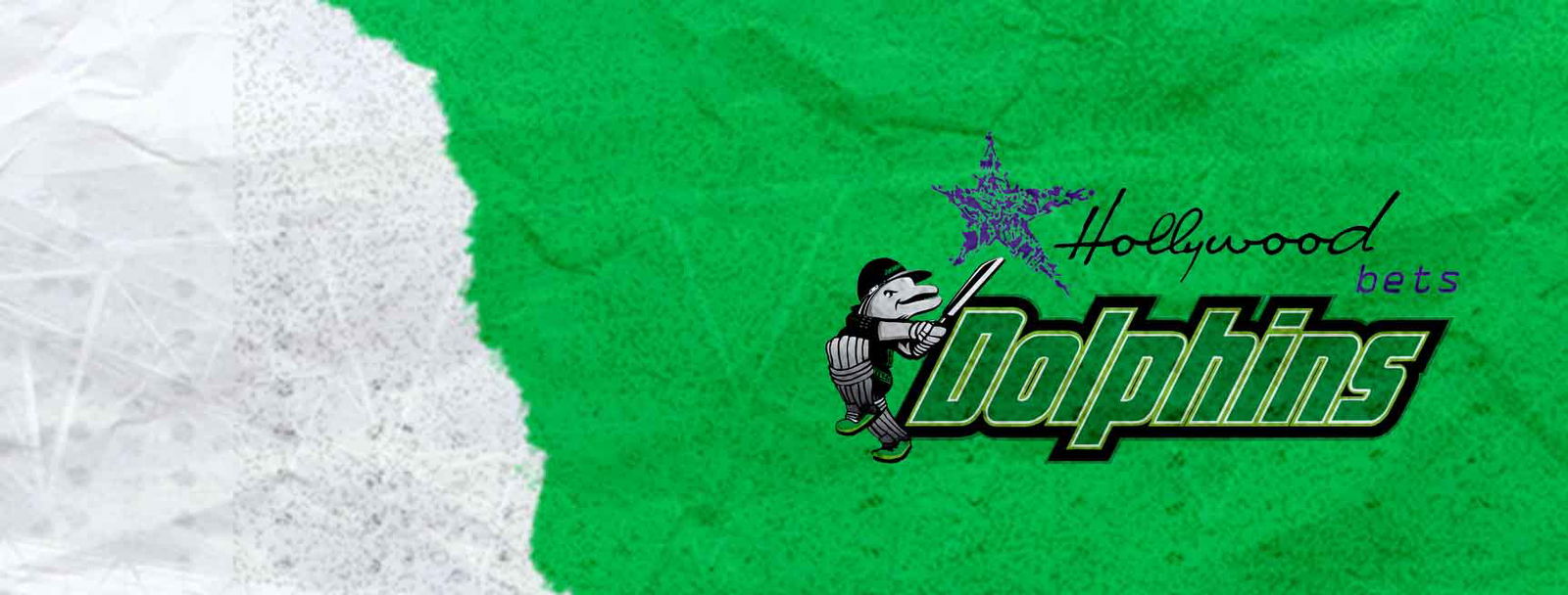 Dolphins Cricket Team