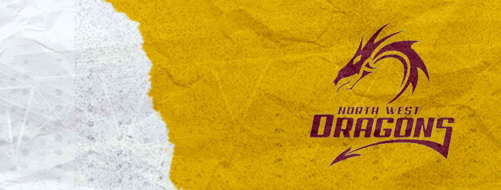 North West Dragons cricket team