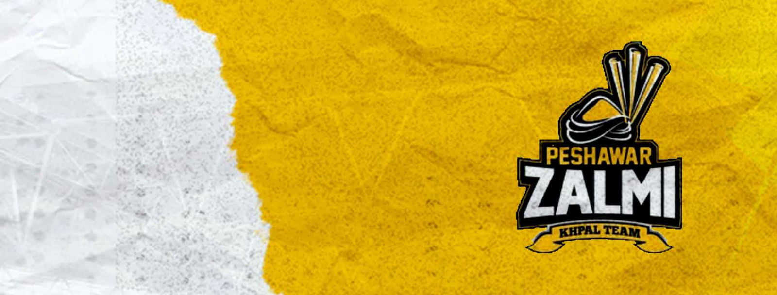 Peshawar Zalmi Cricket Team