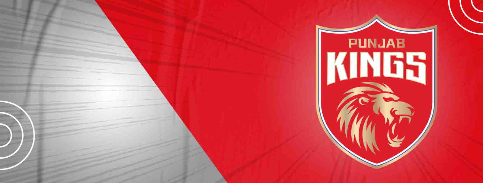 Punjab Kings Cricket Team