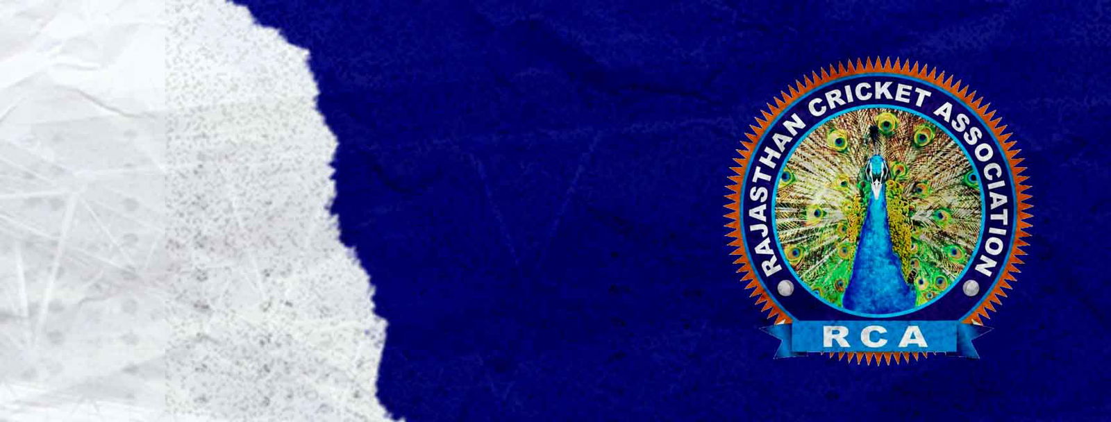 Rajasthan Cricket Team