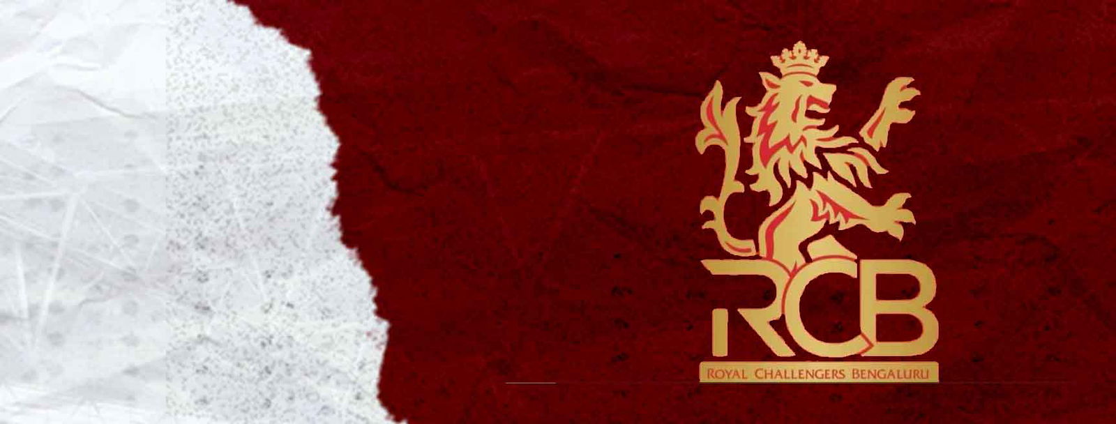 Royal Challengers Bangalore Cricket Team