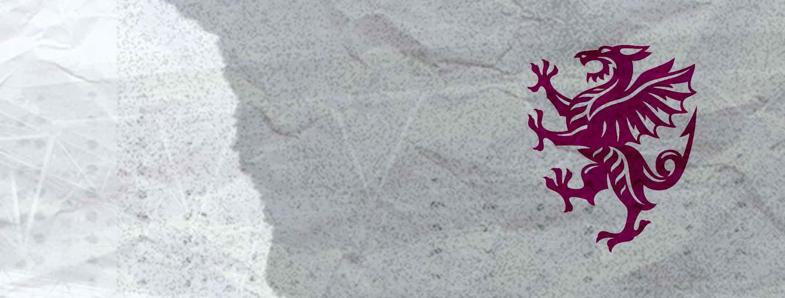 Somerset Women Cricket Team