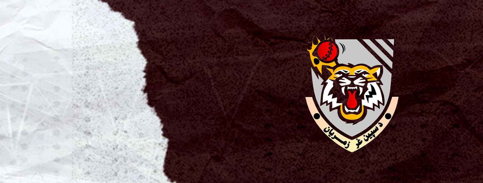 Speen Ghar Tigers Cricket Team