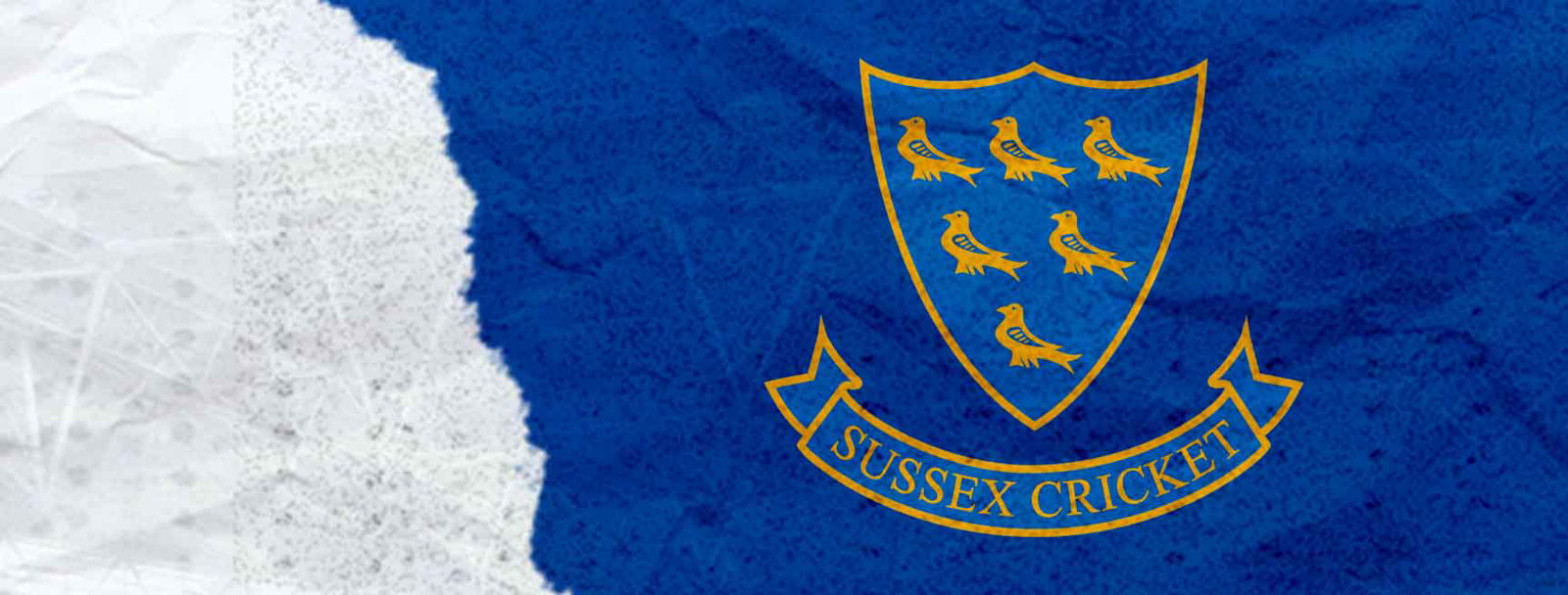 Sussex Women Cricket Team