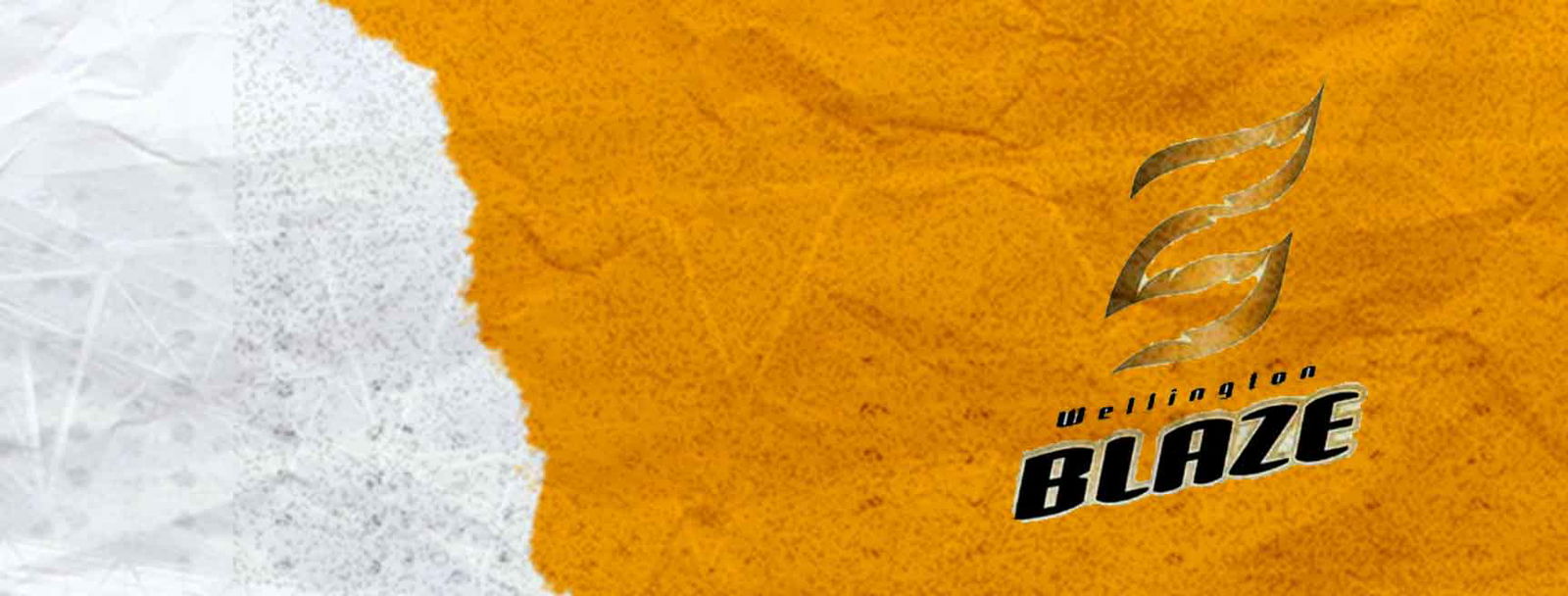 Wellington Blaze Cricket Team