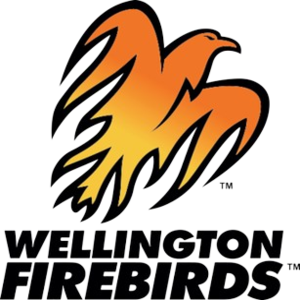 Wellington Firebirds vs Central Stags Live Score, Match 14 of Men's ...